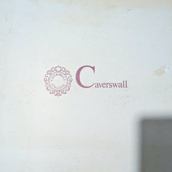 Caverswall China 1981 Royal Wedding Plate – Prince Charles & Lady Diana - Picture 3 of 3